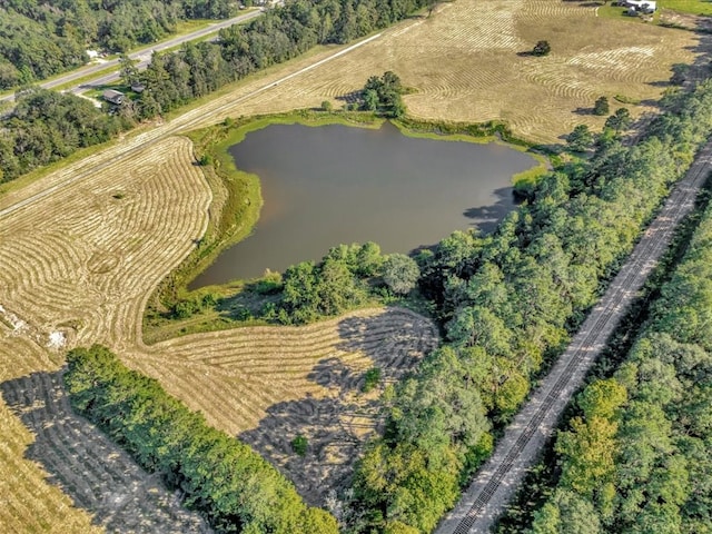128 Tamie Lowe Rd, Moscow, TX 75960 - aerial view of property's location with a nearby body of water