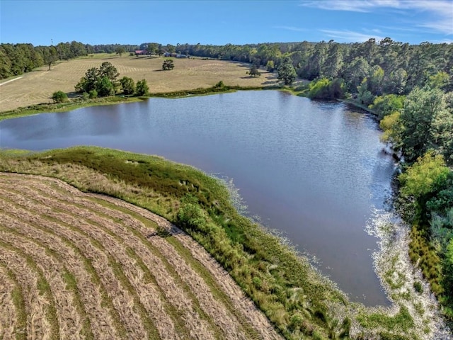 128 Tamie Lowe Rd, Moscow, TX 75960 - bird's eye view of a large body of water