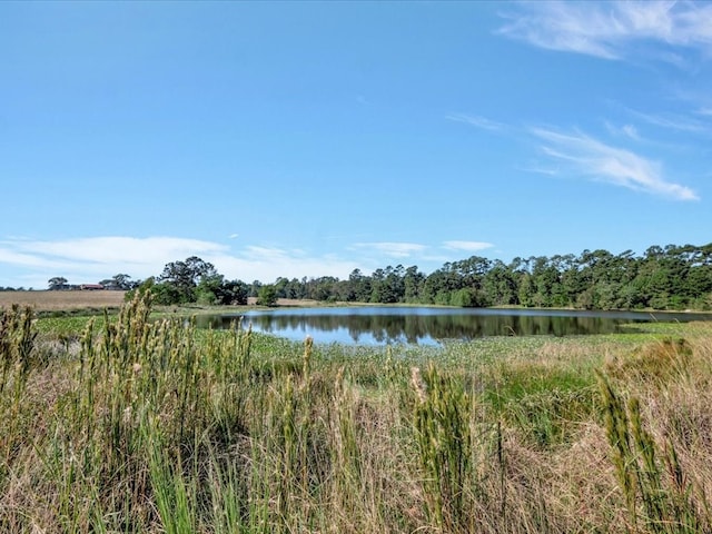 128 Tamie Lowe Rd, Moscow, TX 75960 - water view