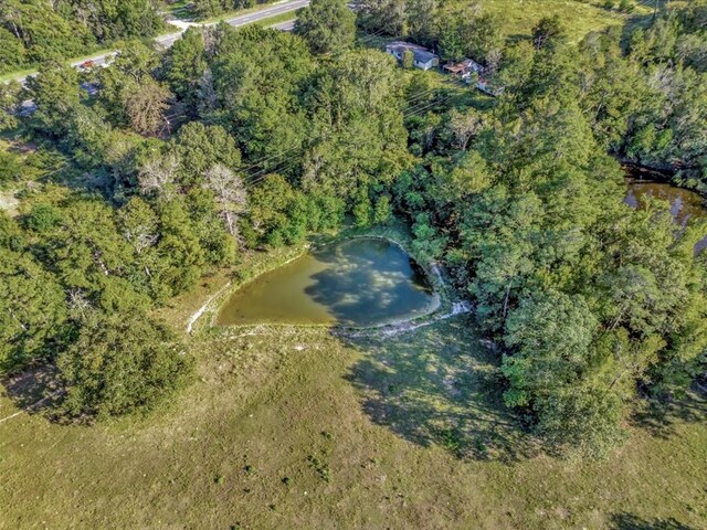 128 Tamie Lowe Rd, Moscow, TX 75960 - aerial view