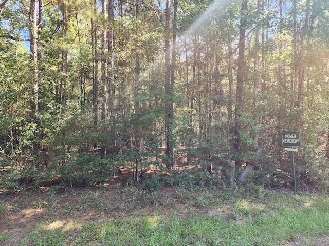 Listing photo 3 for 3.786AC County Road 023, Jasper TX 75951