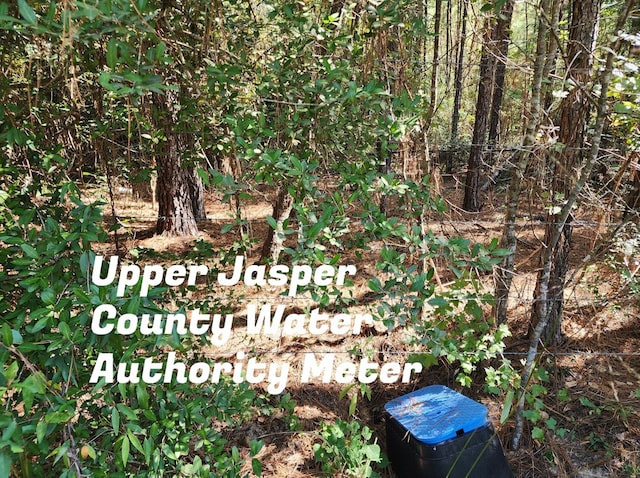 Listing photo 2 for 3.786AC County Road 023, Jasper TX 75951