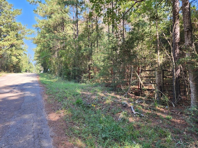 3.786AC County Road 023, Jasper TX, 75951 land for sale