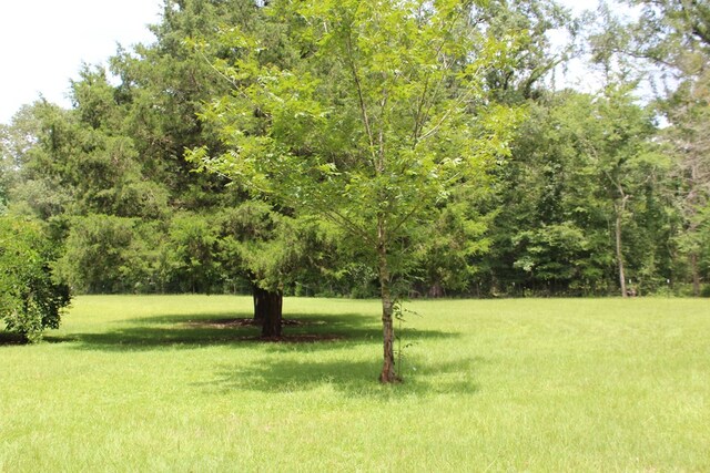 4875 County Road 150, Jasper, TX 75951 - photo 6