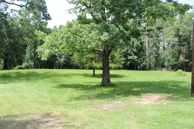 4875 County Road 150, Jasper, TX 75951 - photo 29