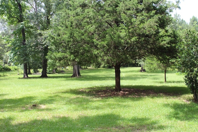 4875 County Road 150, Jasper, TX 75951 - photo 2