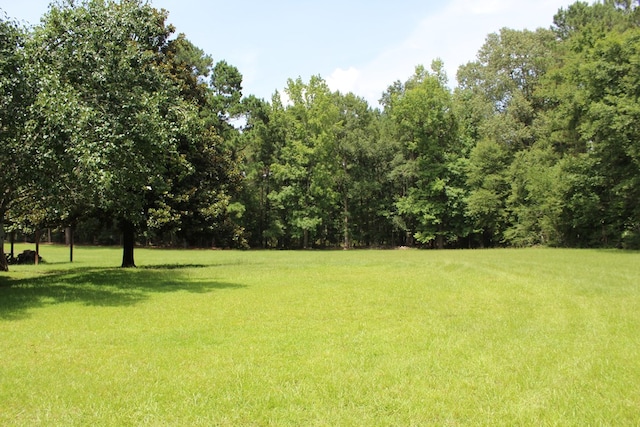 4875 County Road 150, Jasper, TX 75951 - photo 33