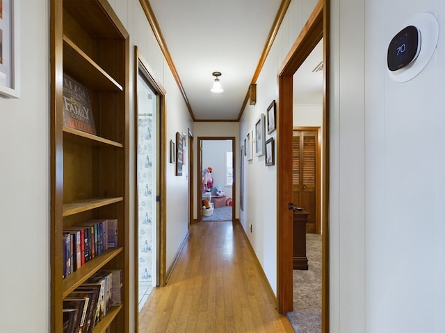 hallway featuring light hardwood / wood-style floors and ornamental molding