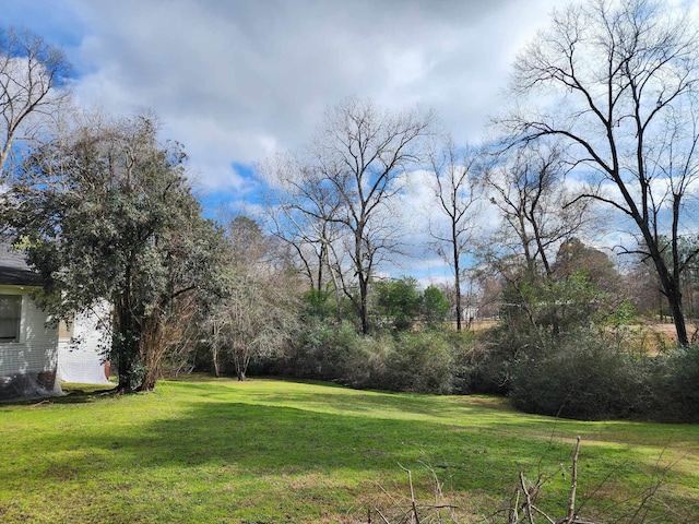 512 Tenaha St, Center, TX 75935 - view of green lawn