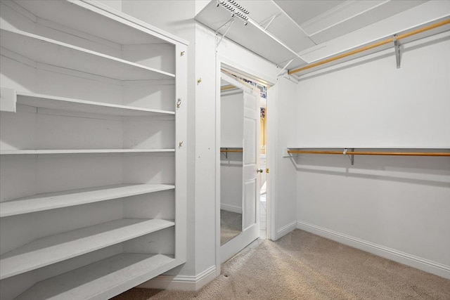 spacious closet featuring carpet flooring