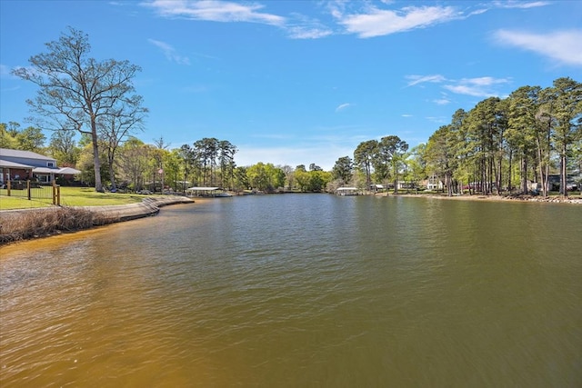 445 Riverbend Dr, Hemphill, TX 75948 - view of water feature
