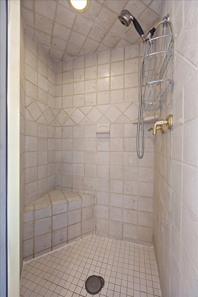445 Riverbend Dr, Hemphill, TX 75948 - bathroom with a tile shower