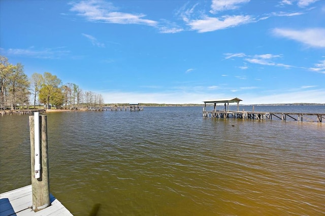 dock area with a water view