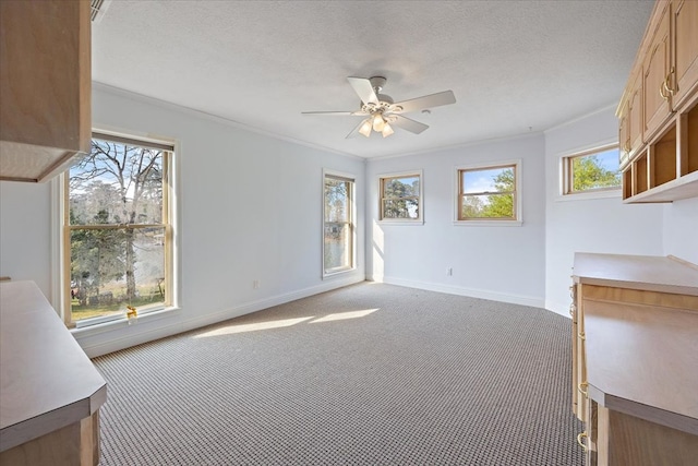 interior space featuring crown molding, light colored carpet, a textured ceiling, and ceiling fan