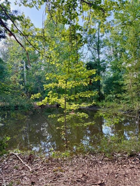 359 Mallard St, Hemphill, TX 75948 - photo 14