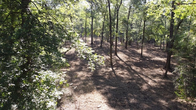 359 Mallard St, Hemphill, TX 75948 - photo 4