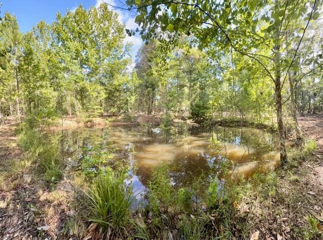 359 Mallard St, Hemphill, TX 75948 - photo 17