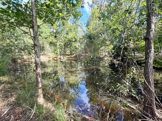 359 Mallard St, Hemphill, TX 75948 - photo 18