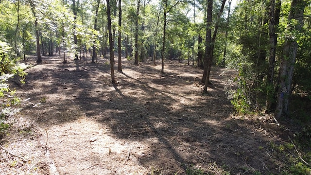 359 Mallard St, Hemphill, TX 75948 - photo 5