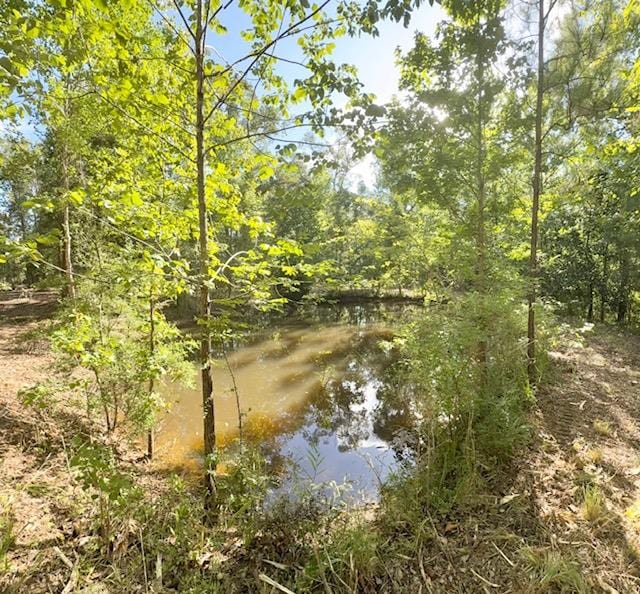 359 Mallard St, Hemphill, TX 75948 - photo 16