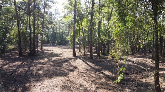 359 Mallard St, Hemphill, TX 75948 - photo 8