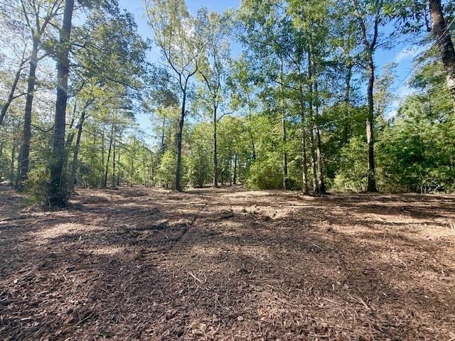 359 Mallard St, Hemphill, TX 75948 - photo 12