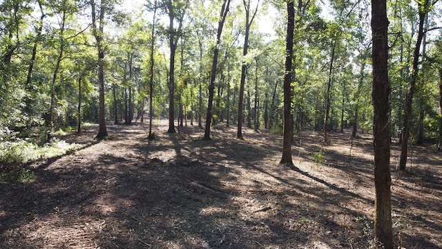 359 Mallard St, Hemphill, TX 75948 - photo 7
