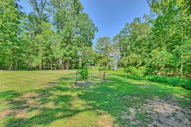 159 Semaphore Ct, Hemphill, TX 75948 - photo 9