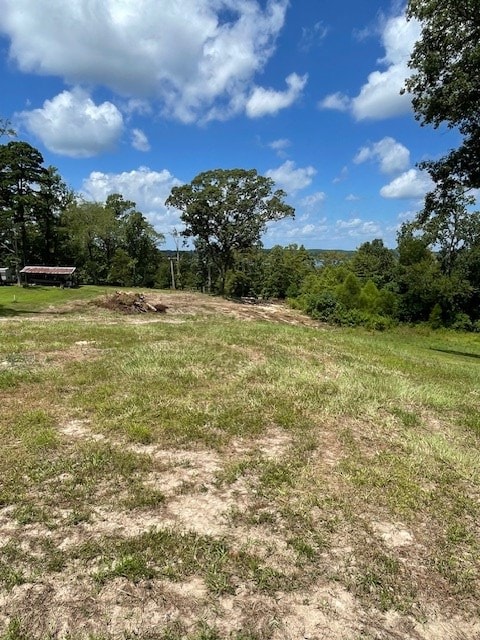 430 County Road 3360, Broaddus, TX 75929 - photo 4
