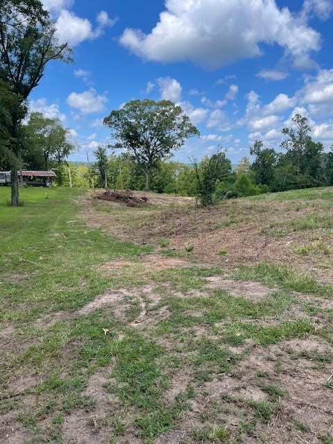 430 County Road 3360, Broaddus, TX 75929 - photo 5