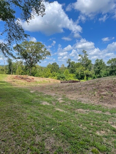 430 County Road 3360, Broaddus, TX 75929 - photo 6