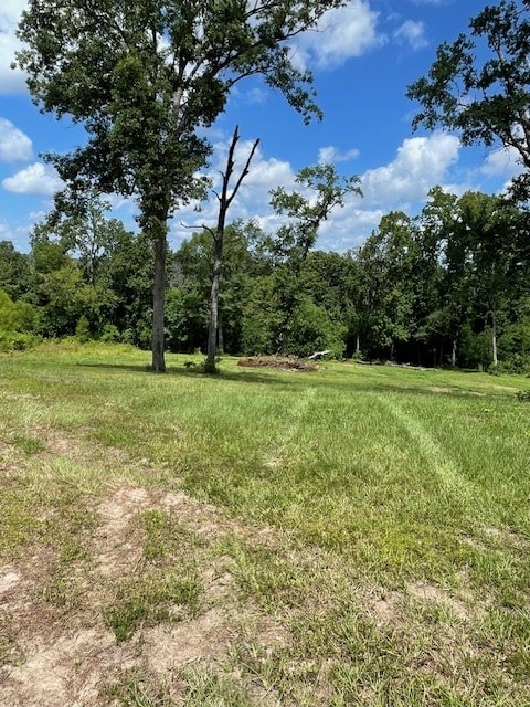 430 County Road 3360, Broaddus, TX 75929 - photo 2