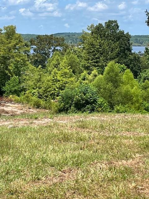 430 County Road 3360, Broaddus, TX 75929 - photo 1
