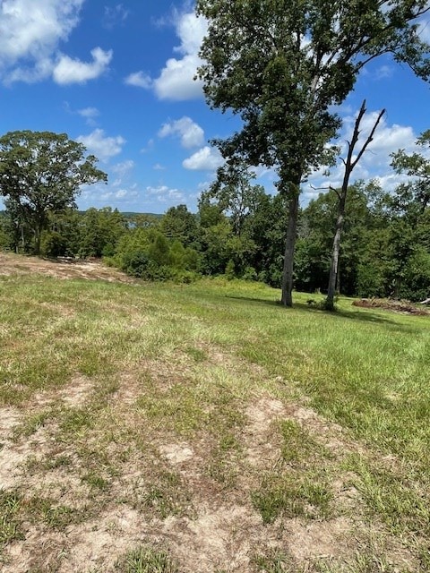 430 County Road 3360, Broaddus, TX 75929 - photo 3
