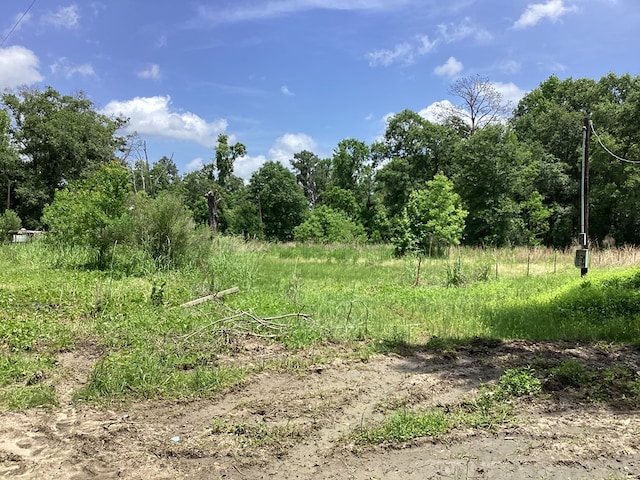 1734 Fm 82 W, Kirbyville, TX 75956 - view of nature