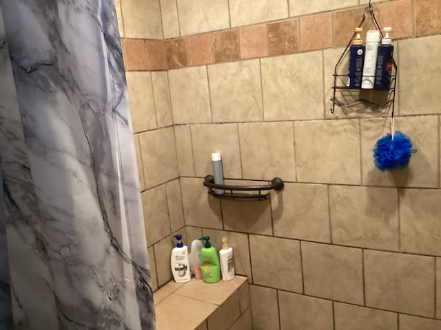 1734 Fm 82 W, Kirbyville, TX 75956 - full bath featuring a tile shower