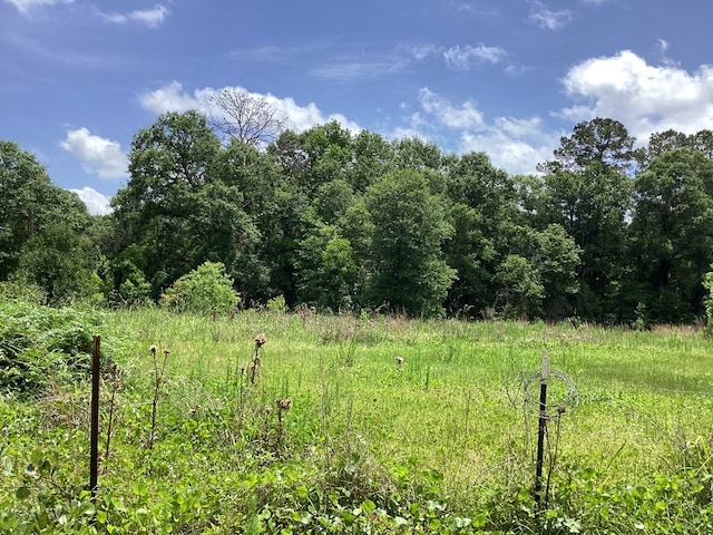1734 Fm 82 W, Kirbyville, TX 75956 - view of wooded area