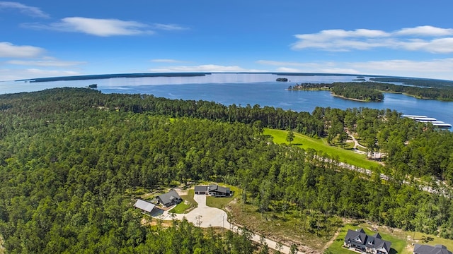 150 Tatanka Trl, Brookeland, TX 75931 - bird's eye view of a forest and a nearby body of water