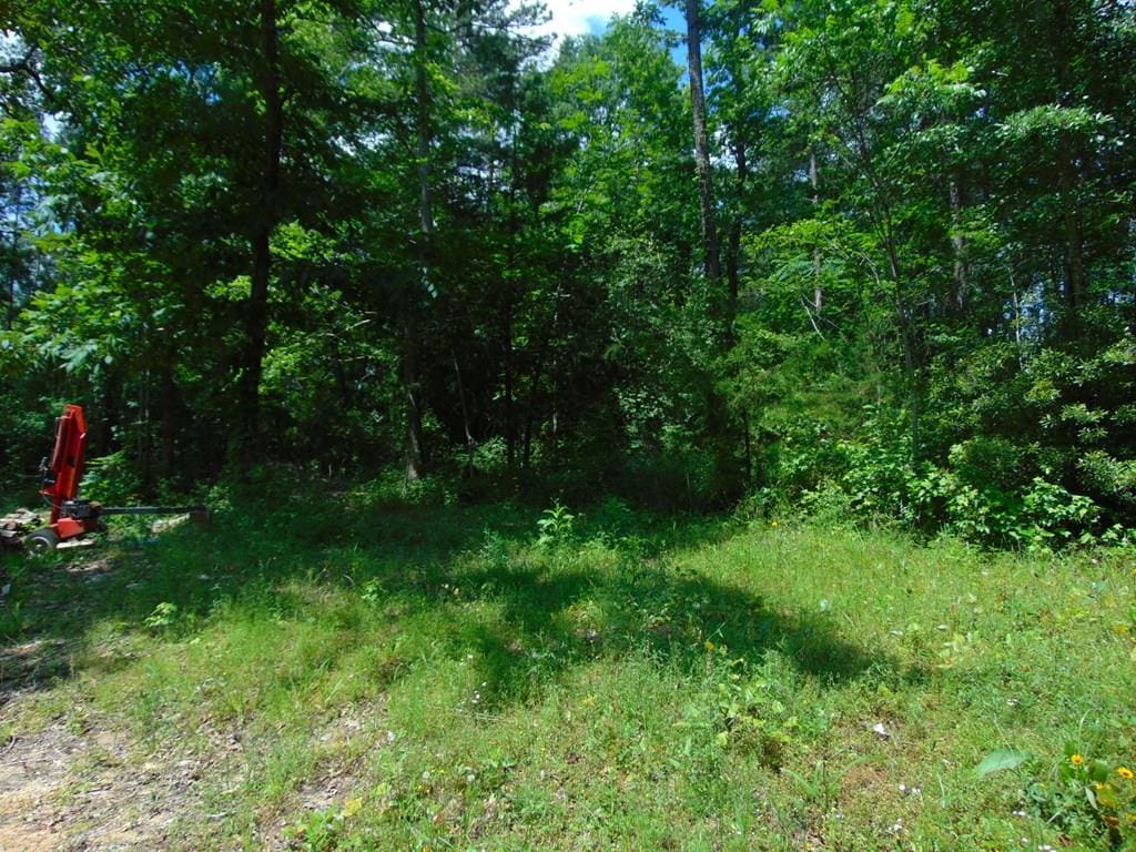246 Gum Springs Rd, Pollok, TX 75969 - photo 1