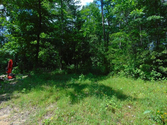 246 Gum Springs Rd, Pollok, TX 75969 - photo 1