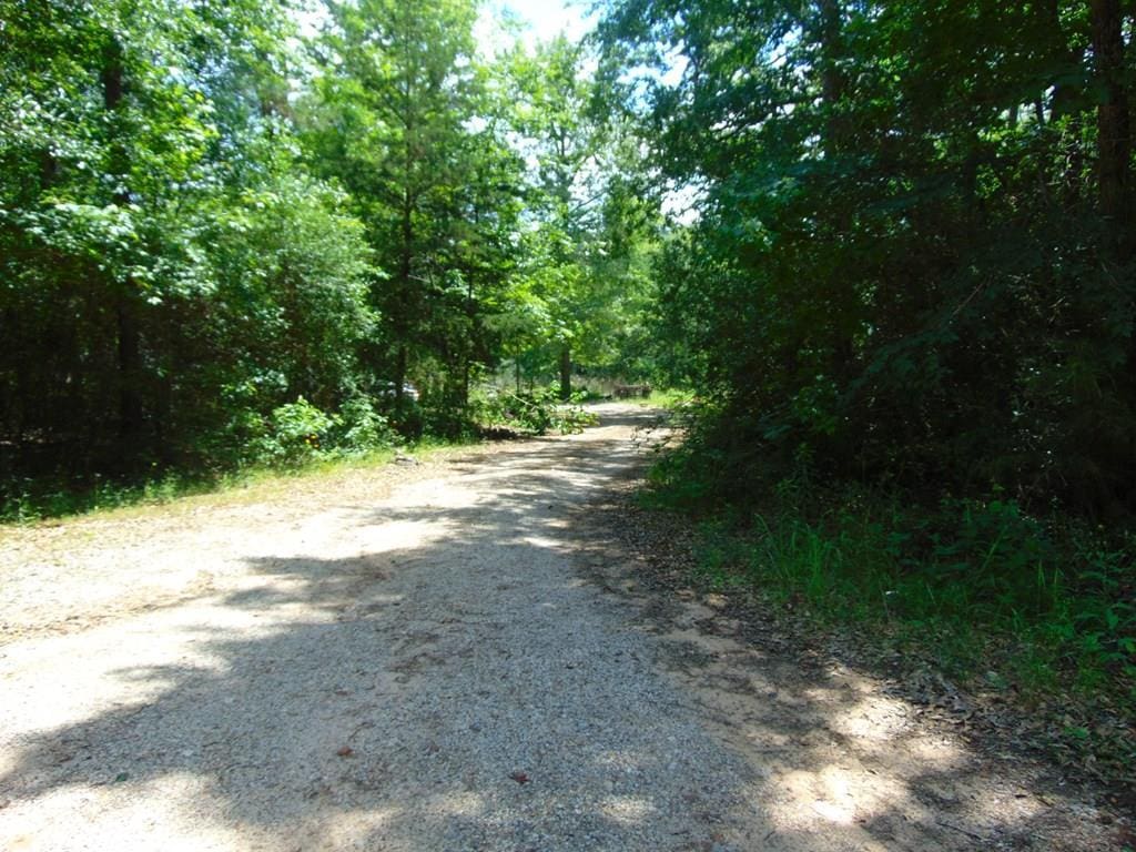 246 Gum Springs Rd, Pollok, TX 75969 - photo 2