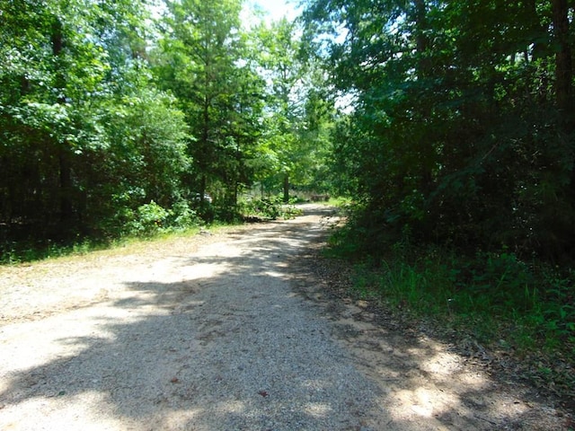 246 Gum Springs Rd, Pollok, TX 75969 - photo 2