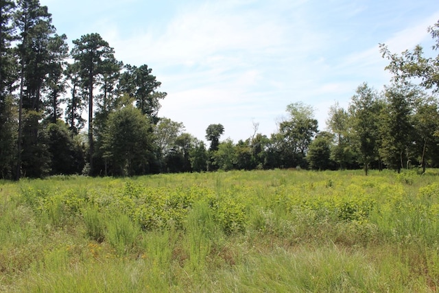 232 County Road 173, Jasper, TX 75951