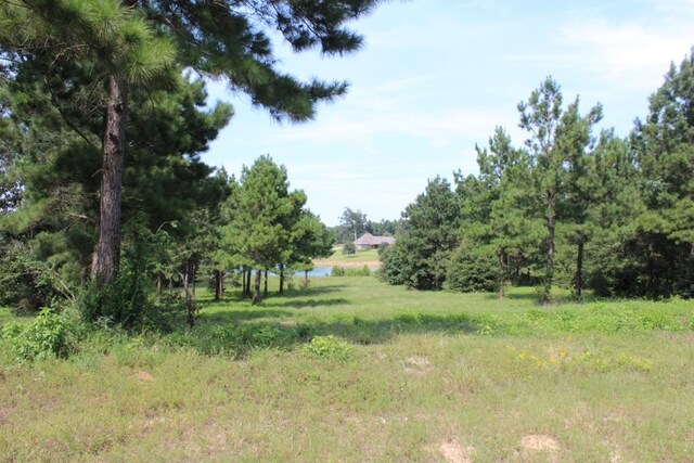 232 County Road 173, Jasper, TX 75951