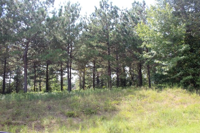 232 County Road 173, Jasper, TX 75951