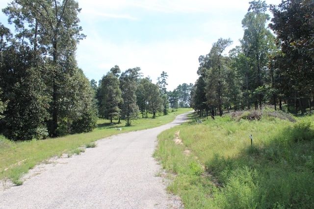 232 County Road 173, Jasper, TX 75951
