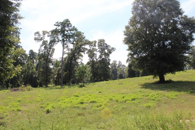 232 County Road 173, Jasper, TX 75951