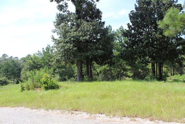 232 County Road 173, Jasper, TX 75951