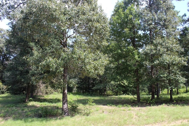 232 County Road 173, Jasper, TX 75951