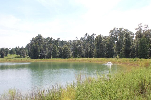 232 County Road 173, Jasper, TX 75951